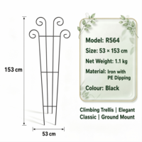 Treillis de jardin élégant en métal conique à sommet incurvé, résistant à la rouille et aux intempéries, robuste, pour patio, balcon, hôtel, vente en gros, OEM