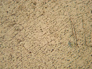 金属BS-6000B分析のためのBestScopeの逆三眼冶金顕微鏡 - Product Image 4