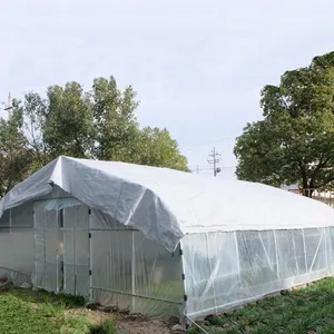 Agricultura/fazenda/multispan/uni-span/túnel plástico casa verde/estufa para legumes/flores/tomate/jardim