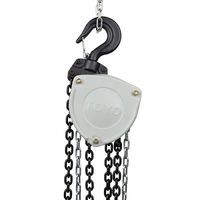 Bloc de chaîne de levage Toyo vente chaude pour soulever 10T 5M Mini poulie de bloc de chaîne 20 tonnes 30 tonnes 50 tonnes avec Ce Gs Cert