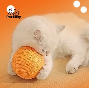 2025 Nueva gran oferta en Stock <span class=keywords><strong>de</strong></span> fábrica, precio bajo, <span class=keywords><strong>venta</strong></span> al por mayor, Bola <span class=keywords><strong>de</strong></span> Sisal Extra grande para gato, perro, autoentretenimiento, aliviar el aburrimiento - Product Image 5