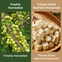 Cubes de Groseille Indienne Lyophilisées/Séchées par Pulvérisation (Phyllanthus Emblica) 1kg Échantillon Brut Riche en Vitamine C Superaliment Naturel