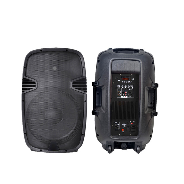 RQSONIC PML15AOE 15'' 100W Outdoor Powered Speakers Professional Class AB Portable Plastic Active Speaker