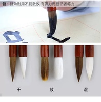 Tianintang Pinceau de calligraphie chinoise Brosse à cheveux en laine de loup pour débutant