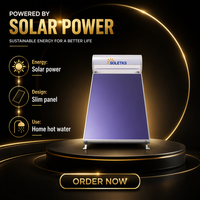 Chauffe-eau solaire compact 120L à plaque plate, réservoir émaillé, pressurisé, extérieur, économe en énergie, contrôlé par application, usage domestique, OEM ODM