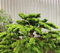 Vente en gros de plantes artificielles en plastique personnalisables pour l'aménagement paysager intérieur et extérieur, décoration d'hôtels et de restaurants, pin artificiel