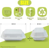 Boîte à lunch jetable compostable personnalisée, vaisselle biodégradable en bagasse de canne à sucre, contenant alimentaire à clapet