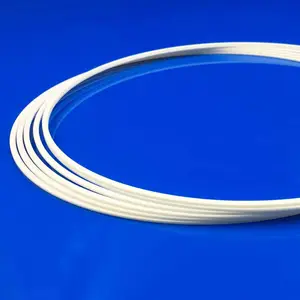 Промышленный алюминиевый оксид глинозема Al2o3 керамическое кольцо омывателя прокладка петля наконечника прокладка прокладочное кольцо