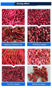Supplier Industrial dryer equipment Chili Processing Line Chili washing machine Chili processing machine Mesh belt dryer machine - Product Image 5