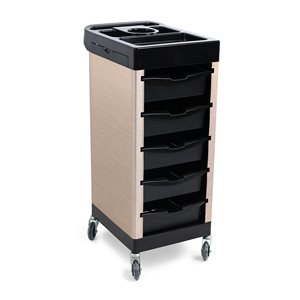 2024 ultima versione 4 ruote carrello salone con 5 cassetti per il salone - Product Image 2