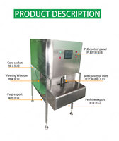 Fruit Citroen Appel Oranje Mango Schilmachine