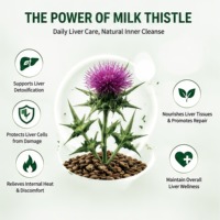 Teh Biji Milk Thistle Alami Sachet Pembersih Hati Harian, Campuran Vitalitas Sirkulasi Metabolik, Menenangkan Panas Dalam