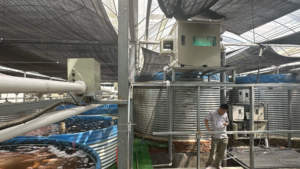 Sistema Completo de Acuicultura con Filtro de Tambor RAS de 25 Micras y 100m3/h con Lámpara UV para Cultivo de Tilapia, Camarones y Tratamiento de Agua Bruta - Product Image 6