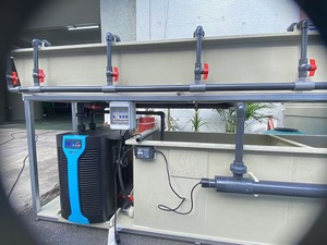 Incubateur d'œufs de poisson horizontal <span class=keywords><strong>à</strong></span> recirculation multi-espèces de qualité laboratoire CATAQUA, haute efficacité pour <span class=keywords><strong>pisciculture</strong></span> – Vente chaude usine - Product Image 4