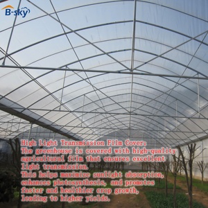 Struttura a Tunnel in Polietilene di Ampia Larghezza per l'Agricoltura Moderna e Progetti Agroimprenditoriali - Product Image 2