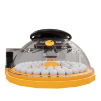 Incubateur Perroquets Pro 24 avec écran d'affichage LCD à cristaux liquides à contrôle intelligent et alimentation en air en spirale à 360 °