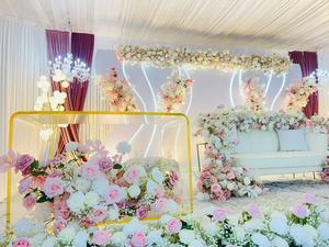 Fsdkx cao cấp tùy chỉnh kích thước lớn 3D đám cưới Acrylic đường cong Backdrop S hình dạng đám cưới <span class=keywords><strong>ARC</strong></span> vòm Backdrop tường với LED ánh sáng - Product Image 5