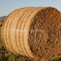 Wrap Net Bale/Hay Net Raschel Kett strick maschine Für die Landwirtschaft