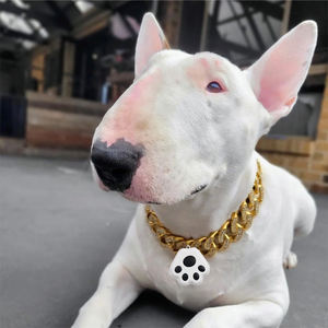 Localizador GPS personalizado para mascotas, conexión de teléfono, dispositivo antipérdida, rastreador multifunción para gatos - Product Image 2