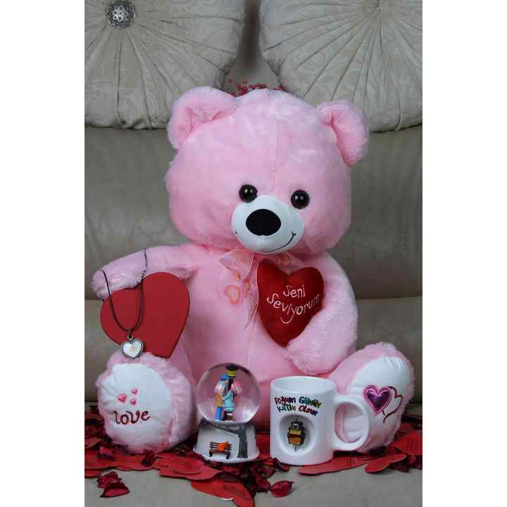 Plush Teddy Bear Birthday Gift Concept for Valentine