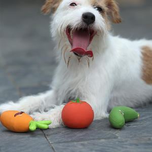 Yumuşak dayanıklı doğal lateks köpek oyuncak sevimli salatalık havuç domates sebze şekilli interaktif Pet oyuncaklar kauçuk gıcırtılı köpek çiğnemek oyuncak - Product Image 5