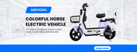 Vélo électrique MeiHong WAR HORSE 1000W 72V 20Ah avec batterie au plomb/lithium, moteur sans balais, 12 vitesses, cadre en acier au carbone, frein à disque hydraulique