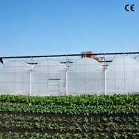 Grande serre multi-chapelles en film plastique avec structure en acier galvanisé à chaud et ventilation latérale et supérieure pour la culture commerciale de légumes et de fruits