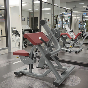 Équipement de musculation professionnel pour salle de sport, machine à biceps, entraîneur musculaire pour la musculation, LK-066, meilleur équipement de gym LK-066 - Product Image 5