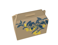 Boîte-cadeau de logo de motif personnalisé de haute qualité avec poignée de couvercle Design créatif pour l'impression de stratification mate de doublure d'éponge de vacances