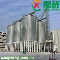 Silo de haute qualité avec élévateur, 500 tonnes, fond conique en acier, silos à maïs, blé, riz, paddy