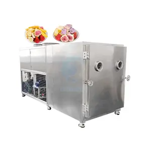 Milk Freeze Drying Dry Dehydration Machine Freeze Dryer Commercial 300kg 500 Kg Per Bach for Fruit