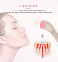 Appareil de massage pour le lifting du visage à usage domestique OEM ODM, outils de soin de la peau et de beauté