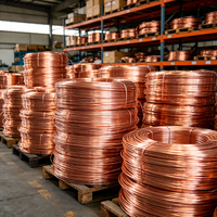Cable Flexible de Alta Aislación del Fabricante, de Cobre Puro Sólido y Trenzado, para Calefacción Industrial y Construcción en Altura/Baja Altura
