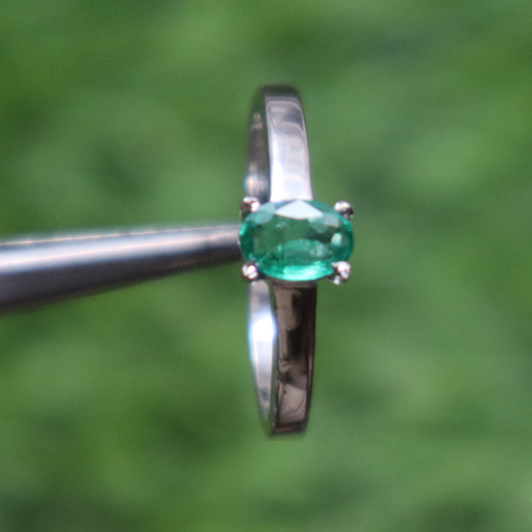 สีเขียว