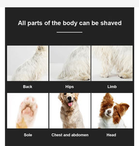 LILIPRO ZP-295 norme européenne rechargeable tondeuse à cheveux pour chiens puissante tondeuse électrique pour animaux de compagnie sans fil Kit de produits de toilettage pour chats - Product Image 4