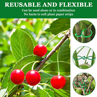 Clips de suspension réglables en PP en forme de 8 pour une maintien sûr des plantes et des vignes - Utilisation extérieure durable