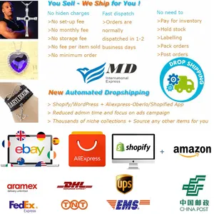 Eccellente azienda dropshipping con agente commerciale generale e servizi di drop shipping