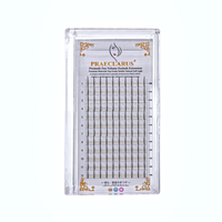 Cils en grappe PRE056 spike fairy, faux cils, cils en grappe, extension de cils D Curl