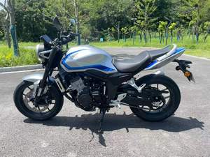 Moto Sportiva Urbana Elegante da 500cc, Bicilindrica Raffreddata ad Acqua, Alimentata a Benzina, Blu Argento, per Pendolari - Product Image 5