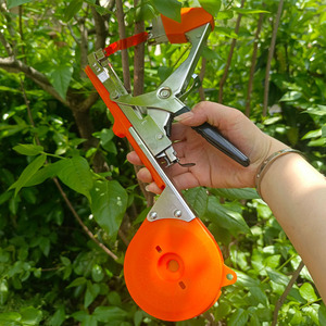 Máquina para atar ramas, pistola para atar ramas de <span class=keywords><strong>tomate</strong></span>, máquina para atar ramas de pepino, máquina para atar ramas de uva, máquina para atar viñas - Product Image 3