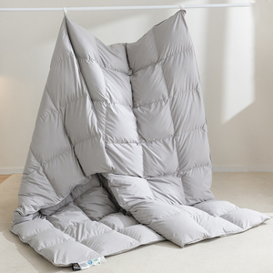 Peter Khanun plumes <span class=keywords><strong>d</strong></span>'<span class=keywords><strong>oie</strong></span> couette en duvet hiver épais couette insérer toutes saisons blanc <span class=keywords><strong>couverture</strong></span> en duvet 100% coton <span class=keywords><strong>couverture</strong></span> 028 - Product Image 3