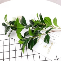 Offre Spéciale – Branche Artificielle de Feuille de Haricot Peperomia Tetraphylla, Plante Verte au Toucher Réel pour Décoration de Table de Mariage, Fête ou Maison