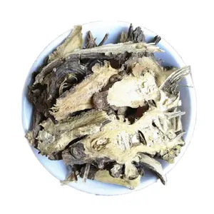 Liao Gao Ben natural Ligusticum jeholense raíz seca China Ligusticum jeholense rodajas de rizoma para la venta