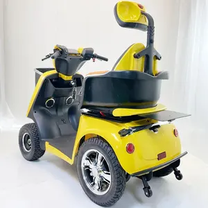 2023 New ways of personal travel GUARDIAN Mobility four wheel electric motor scooter 60V800W