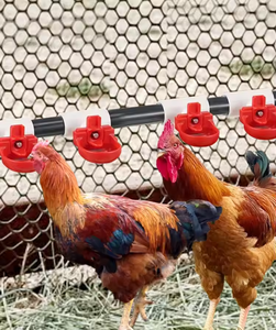 <span class=keywords><strong>DIY</strong></span> patio trasero granja automática bebé pollito agua conjunto completo tubería colgante pollo <span class=keywords><strong>bebedero</strong></span> sistema - Product Image 6