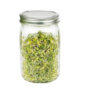 Kit <span class=keywords><strong>di</strong></span> coltivazione <span class=keywords><strong>di</strong></span> germogli per vaso <span class=keywords><strong>di</strong></span> muratore a bocca larga in erba medica <span class=keywords><strong>di</strong></span> cetriolo con coperchio per schermo in acciaio inossidabile 316 supporto per vassoio/kit <span class=keywords><strong>di</strong></span> vasetti <span class=keywords><strong>di</strong></span> germinazione - Product Image 6