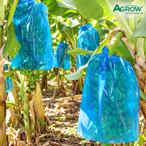 Bolsas de PE para Proteger Racimos de Plátanos de Plagas de Aves, Condiciones Ambientales Severas, Daños por Viento, Lluvia, Granizo y Sol - Product Image 3