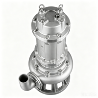 Pompe submersible pour eaux usées 3HP 80mm DN WQ entièrement en acier inoxydable pour fosse septique et sous-sol, fonctionnement silencieux, faible bruit, débit de 40m3/h, hauteur de refoulement de 9m