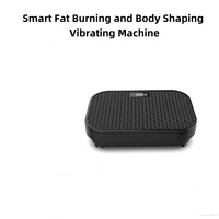 Mini machine de mise en forme du corps transfrontalière de plaque de Vibration du corps à usage domestique pour l'élimination des graisses rythme vertical exercice debout paresseux