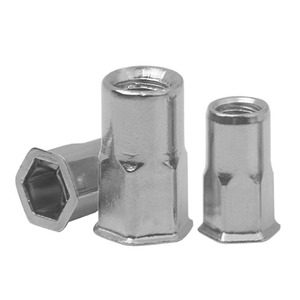 A286 904L <span class=keywords><strong>1.4410</strong></span> đôi <span class=keywords><strong>Hex</strong></span> chìm Đầu phẳng đinh tán <span class=keywords><strong>Nut</strong></span> M8 M10 siêu Duplex thép không gỉ passivate đánh bóng SS 2205 2507 - Product Image 3